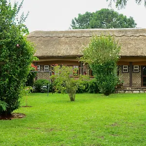 Gasthuis Gorilla African